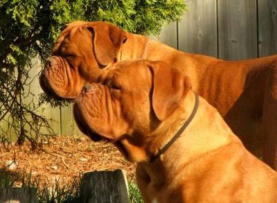 Enjoying the sunshine!!!!!! Enjoying the sunshine!!!!!!