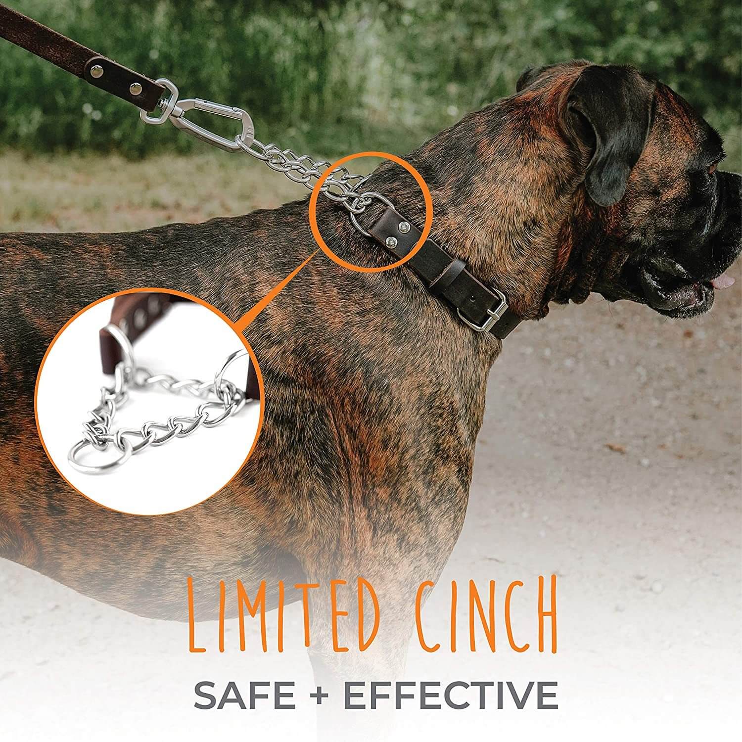 my dog training collar