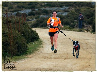 Canicross - Long Distance With Dogs Canicross - Long Distance With Dogs