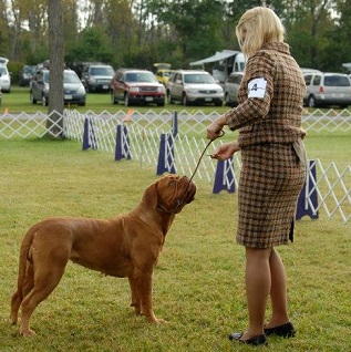 Sarah wins 5 point major Romulous NY