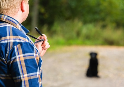 Man doing obedience training with a dog training whistle. dog training whistle