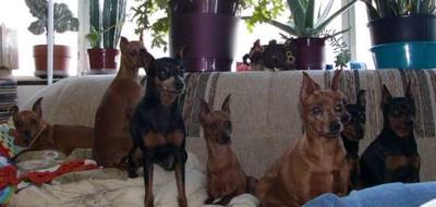 Relaxing on the couch