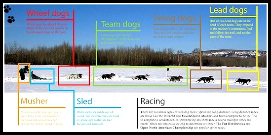 Dog Sledding Team Details Dog Sledding Team Details
