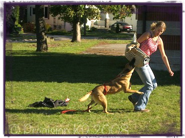 how do you train a puppy for personal protection