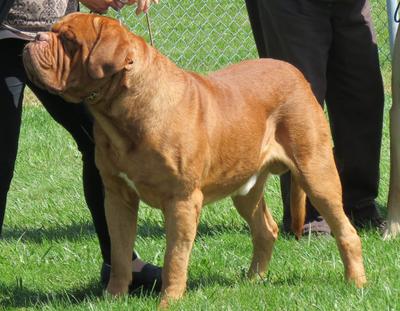 RedLegends Git R Done